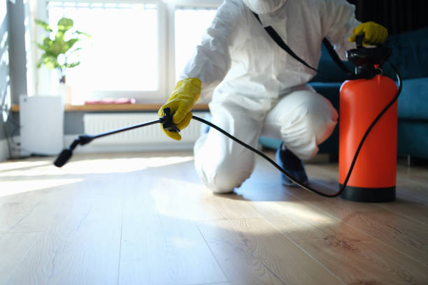 Reliable Crime Scene Cleanup contractor in California City, CA by Trauma Clean Pros